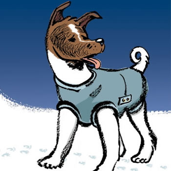 Illustration for article titled 10 Graphic Novels That Make Thrilling Gifts